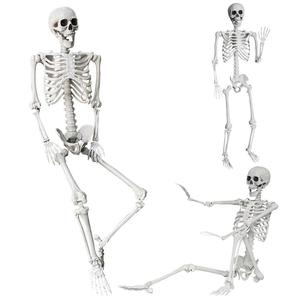 5.4Ft/165cm Halloween Skeleton Full Body Life Size Human Bones with Movable Joints for Indoor Outdoor Halloween Props Decorations High Quality
