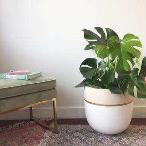 GALA POT | PLANTER Outlet