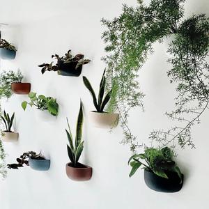 SOLID SHORT WALL PLANTER | POT Free Shipping Buy