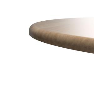 30" ROUND THERMOSHIELD TABLE TOP Latest