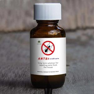 Ants - Eradicate Get To Buy Cheap Pice