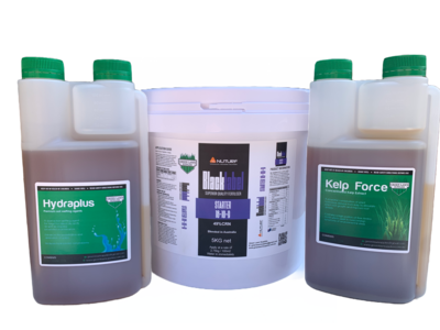 New Turf Establish Bundles With Paypal Free Shipping