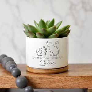 Cat Succulent Planter | Pet Remembrance Sympathy Gift Authentic Cheap Pice