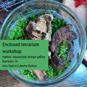 Enclosed Terrarium Workshop Cheap Buy Authentic