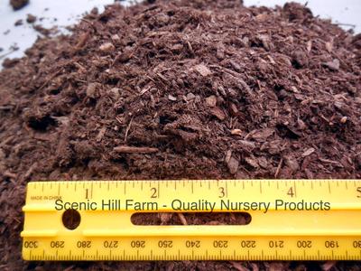 Aged Fine Fir Bark for Bonsai/Succulent/Cactus and Seed Starting Soil Mix Shop For Cheap Pice