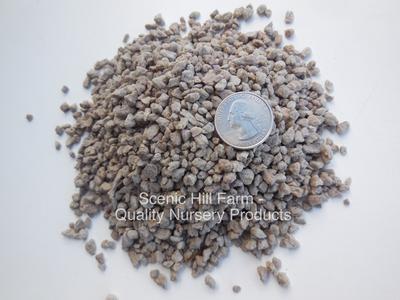 1/4" -1/8 Pumice  - Bonsai Soil & Succulents- SCREENED Cheap Sale Countdown Package
