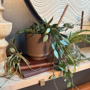 Modern Planter Cheap Low Cost