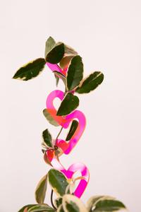 Plant Stake - Hearts Online Cheap Pice