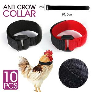 10PCS Anti Crow Collar for Roosters Cockerel No Crow Noise Neck Belt Nylon Buy Cheap Best Pices