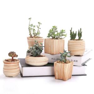 Mini Striped Succulent Flower Pots Sale Latest