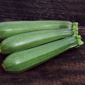 Seedling Sale - Summer Squash, Green Zucchini Buy Cheap Reliable