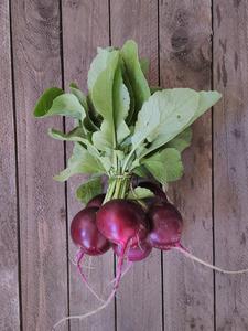 Add On - Summer Radishes Sale Classic