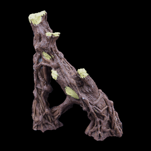 Root Covered Tree - Wholesale Free Shipping Eastbay