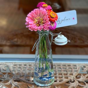 French Zinnia Clearance 100% Original