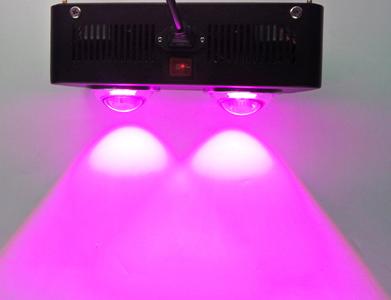 252W Double COB weed grow lightIP44 full spectrum indoor plants Led lamp Cheap Free Shipping