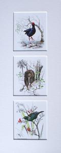 Mount, Triple Upright - NZ Native Birds The Cheapest For Sale