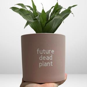'future dead plant' Pun Pot Cheap Websites