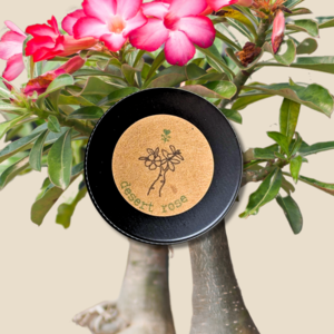 Adenium Obesum 'Desert Rose' Seeds Buy Cheap Many Kinds Of