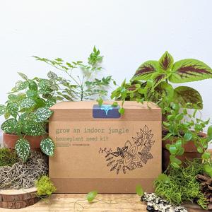 "Grow an Indoor Jungle" Houseplant Seed Kit Clearance New Arrival