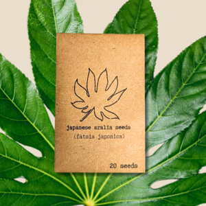 Fatsia Japonica 'Japanese Aralia' Seeds Discount Online Online