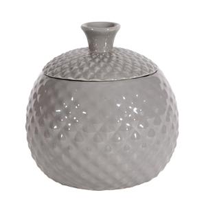 Fruit Fly Catcher in Grey Outlet