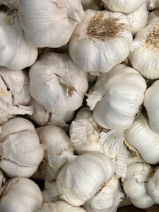 Garlic Bulb X 1 Cheapest Pice Cheap Pice
