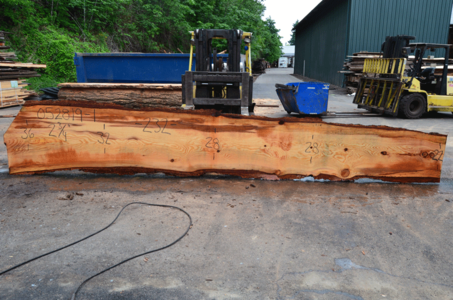 052819-01 Oregon Fir Slab Clearance Online Fake