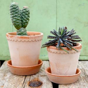 Helena Rose Plant Pots - *Local Delivery or Local Pick Up Only* Cheap Sale Shop For