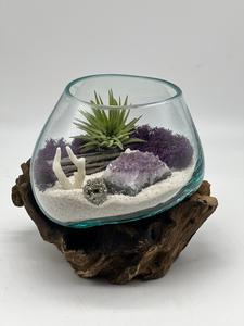 Genuine Amethyst Crystal Air Plant Terrarium, Hand Blown Glass DIY Terrarium Kit, Seascape Design with Coral, Glass Plant Centerpiece Cheap Wiki