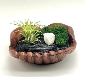 Hand-Carved Wood Hands with Air Plant, Black Tourmaline, and Mini White Rose - Coastal Decor Free Shipping For Nice