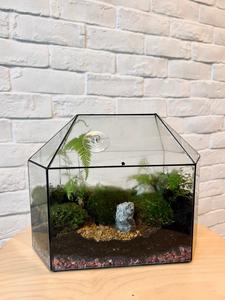 Greenhouse Closed Moss Terrarium Countdown Package