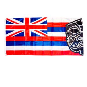 HAWAII REP FLAGS. Ebay Cheap Pice