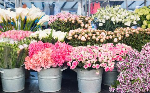 Bastille Flower Stand Excellent Online
