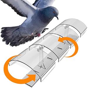 Petslandia Bird Deterrent System - Polycarbonate UV Resistant Pigeon Deterrent, Cruelty-Free Pigeon Proof, Long Lasting, Suitable for Balconies, Patios and Outdoors (118 in) Buy Online