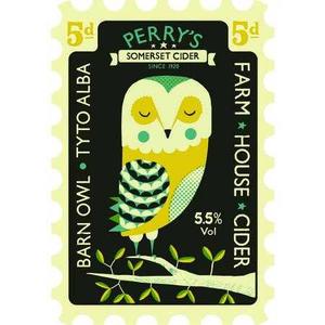 Barn Owl Cheap Sale Outlet