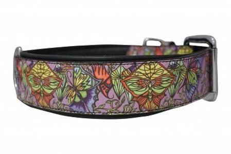 Butterfly Sanctuary Sale Best Pices