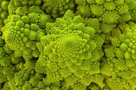 Romanesco Italia Broccoli 100, 500, 1000 Seeds Fractal Natalino Brocoflower RARE Heirloom Outlet Cheap