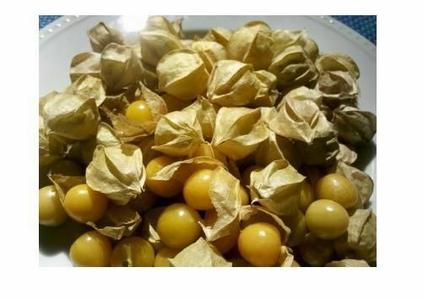 50 seeds Ground Cherry aka Strawberry Husk Tomato Physalis Pruinosa Tomatillo Shop Sale Online