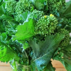 Broccoli Early Fall Raab Rapini 300 - 4000 Seeds Microgreens Sprouting Garden Discount Newest
