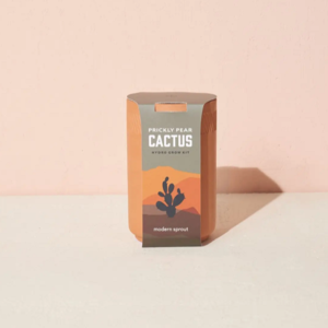 Terracotta Kit - Cactus Outlet Official Site