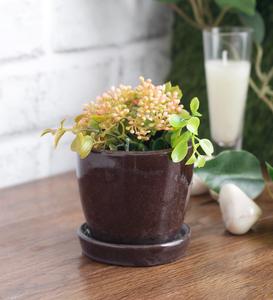 Glazed ceramic shaded round mini pot with saucer. Sale Online Cheap