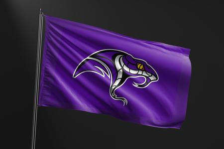 Space Coast Vipers 3x5 Foot Tailgate Flag Sale Discount