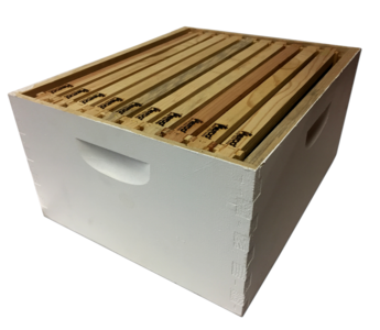 10 Frame Assembled Hive Body With DOUBLE WAXED Wood Frames Outlet Websites