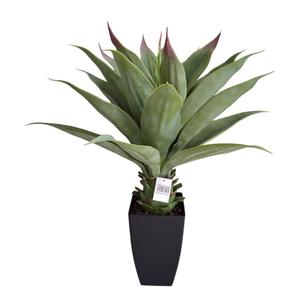 BONSAI CON MACETERO Buy Cheap Fashion Style