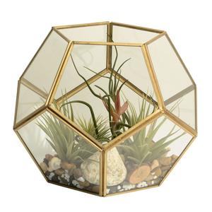 Modern Elegance - Geometric Gold Glass Terrarium Official Site