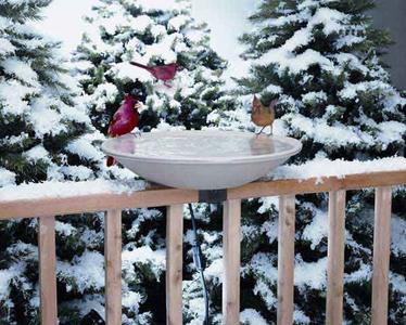 20'' HEATED BIRD BATH Discount Online Online