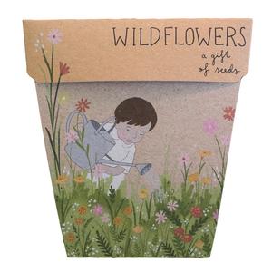 Wildflowers Gift of Seeds Comfortable