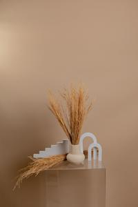 Golden Grass - Natural Brown Meadow Grass Genuine Cheap Pice