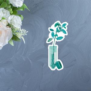 Plant Growing in a 50 mL Conical Tube Sticker The Cheapest For Sale