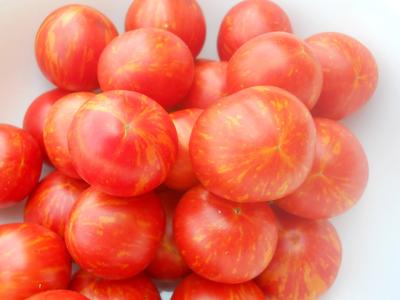 Amur Tiger Organic Tomato - 40 seeds Footlocker Finishline Sale Online